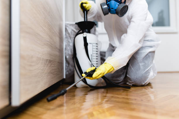 Best Pest Prevention Services  in Morton, IL