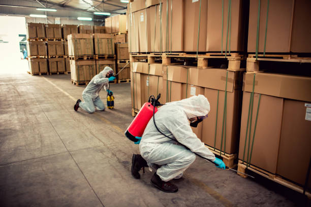 Best Best Pest Control Companies  in Morton, IL