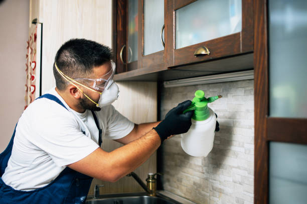 Pest Prevention Services in Morton, IL