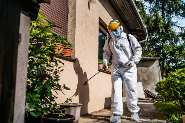 Flea Control Services in Morton, IL