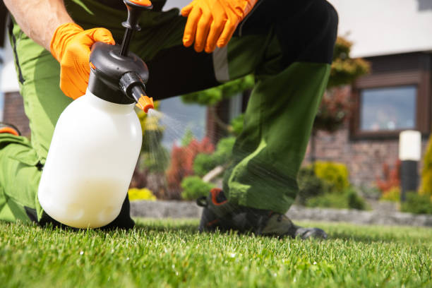 Best Commercial Pest Control Services  in Morton, IL