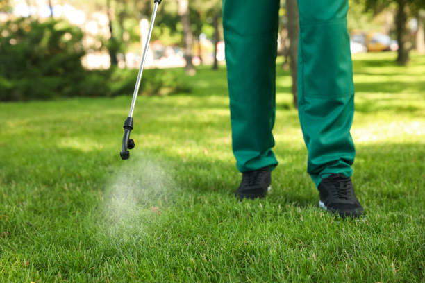 Best Pest Prevention Services  in Morton, IL