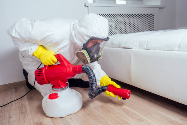 Best Local Pest Control Services  in Morton, IL
