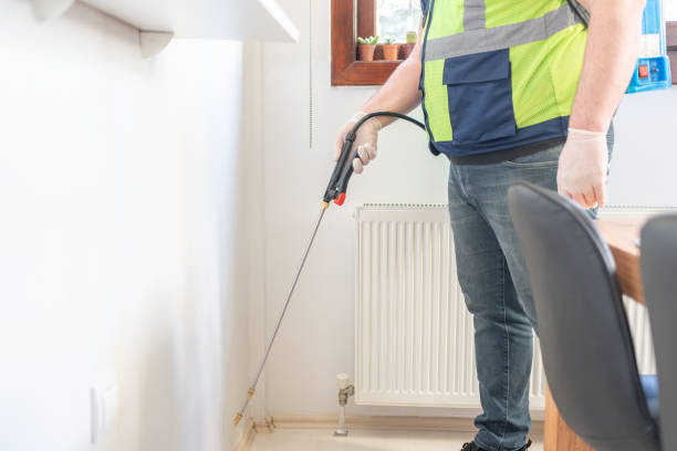 Best Wasp Removal Services  in Morton, IL
