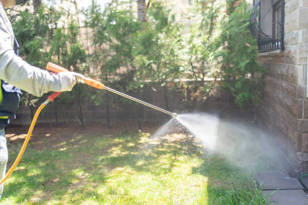 Best Residential Pest Control  in Morton, IL